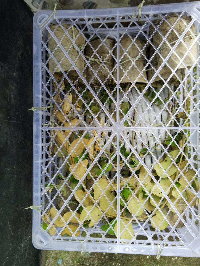 image5
